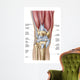 Anatomy Human Knee Joint Wall Decal Design 1