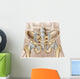 Anatomy Human Pelvic Bone Wall Decal