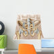 Anatomy Human Pelvic Bone Wall Decal