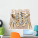 Anatomy Human Pelvic Bone Wall Decal