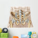 Anatomy Human Pelvic Bone Wall Decal