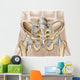 Anatomy Human Pelvic Bone Wall Decal
