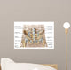 Anatomy Human Pelvic Bone Wall Decal Design 1