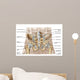 Anatomy Human Pelvic Bone Wall Decal Design 1