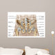 Anatomy Human Pelvic Bone Wall Decal Design 1