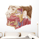 Anatomy Human Salivary Glands Wall Decal Design 2