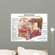 Anatomy Human Salivary Glands Wall Decal Design 1