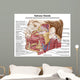 Anatomy Human Salivary Glands Wall Decal Design 1