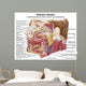 Anatomy Human Salivary Glands Wall Decal Design 1