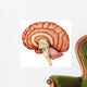 Anatomy Human Brain Side Wall Decal Design 2