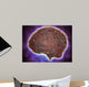 Conceptual Image Human Brain Wall Decal Design 3