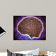 Conceptual Image Human Brain Wall Decal Design 3