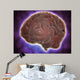 Conceptual Image Human Brain Wall Decal Design 3