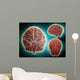 Conceptual Image Human Brain Wall Decal Design 2