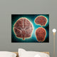 Conceptual Image Human Brain Wall Decal Design 2