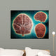 Conceptual Image Human Brain Wall Decal Design 2