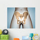 Anatomy Pelvic Bone Female Wall Decal