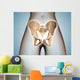 Anatomy Pelvic Bone Female Wall Decal