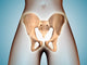 Anatomy Pelvic Bone Female Wall Decal