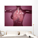 Conceptual Image Female Body Wall Decal Design 1