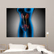 X-ray Female Body with Wall Decal