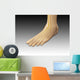 Conceptual Image Human Foot Wall Decal Design 2