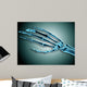 X-ray Bones Human Hand Wall Decal