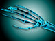 X-ray Bones Human Hand Wall Decal