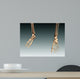 Conceptual Image Bones Human Wall Decal Design 1