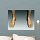 Conceptual Image Human Legs Wall Decal