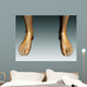 Conceptual Image Human Legs Wall Decal