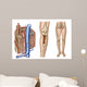 Anatomy Human Bone Marrow Wall Decal Design 2