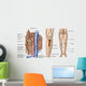 Anatomy Human Bone Marrow Wall Decal Design 1