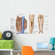Anatomy Human Bone Marrow Wall Decal Design 1