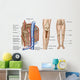 Anatomy Human Bone Marrow Wall Decal Design 1