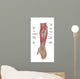 Anatomy Forearm Muscles Anterior Wall Decal Design 1