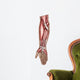 Anatomy Human Forearm Muscles Wall Decal Design 2