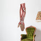 Anatomy Human Forearm Muscles Wall Decal Design 2