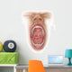 Anatomy Human Mouth Cavity Wall Decal Design 2