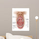 Anatomy Human Mouth Cavity Wall Decal Design 1