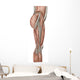 Anatomy Human Thigh Muscles Wall Decal Design 2