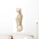 Anatomy Human Vertebral Column Wall Decal Design 2