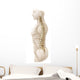 Anatomy Human Vertebral Column Wall Decal Design 2