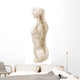 Anatomy Human Vertebral Column Wall Decal Design 2