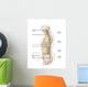 Anatomy Human Vertebral Column Wall Decal Design 1