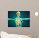 X-ray Female Upper Body Wall Decal
