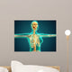 X-ray Female Upper Body Wall Decal