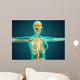 X-ray Female Upper Body Wall Decal
