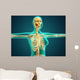 X-ray Female Upper Body Wall Decal