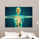 X-ray Female Upper Body Wall Decal